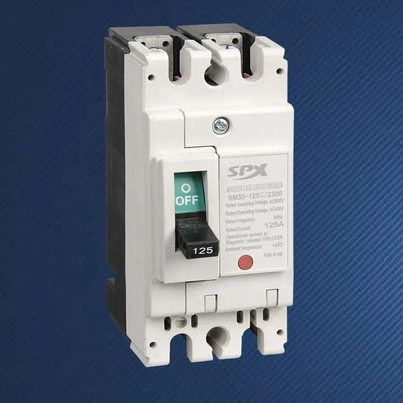 2P 125A Kompaktleistungsschalter